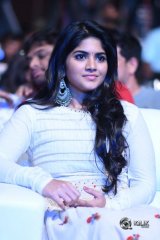 Lie Movie Pre Release Function